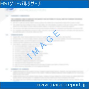 市場と産業調査レポートのイメージ